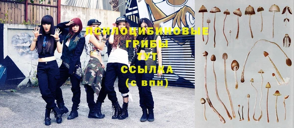 прущая мука Баксан