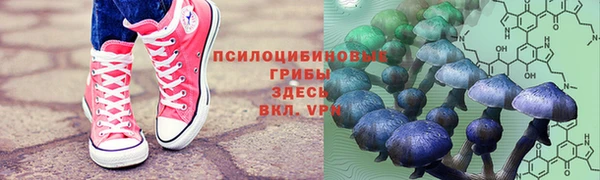 прущая мука Баксан