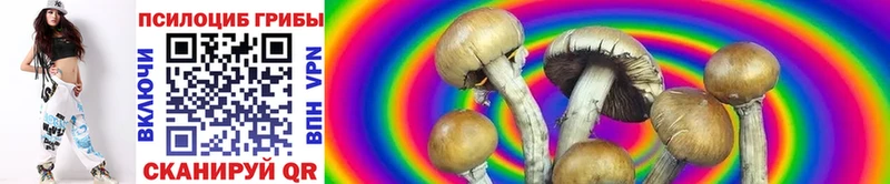 Псилоцибиновые грибы мицелий  Балашов 